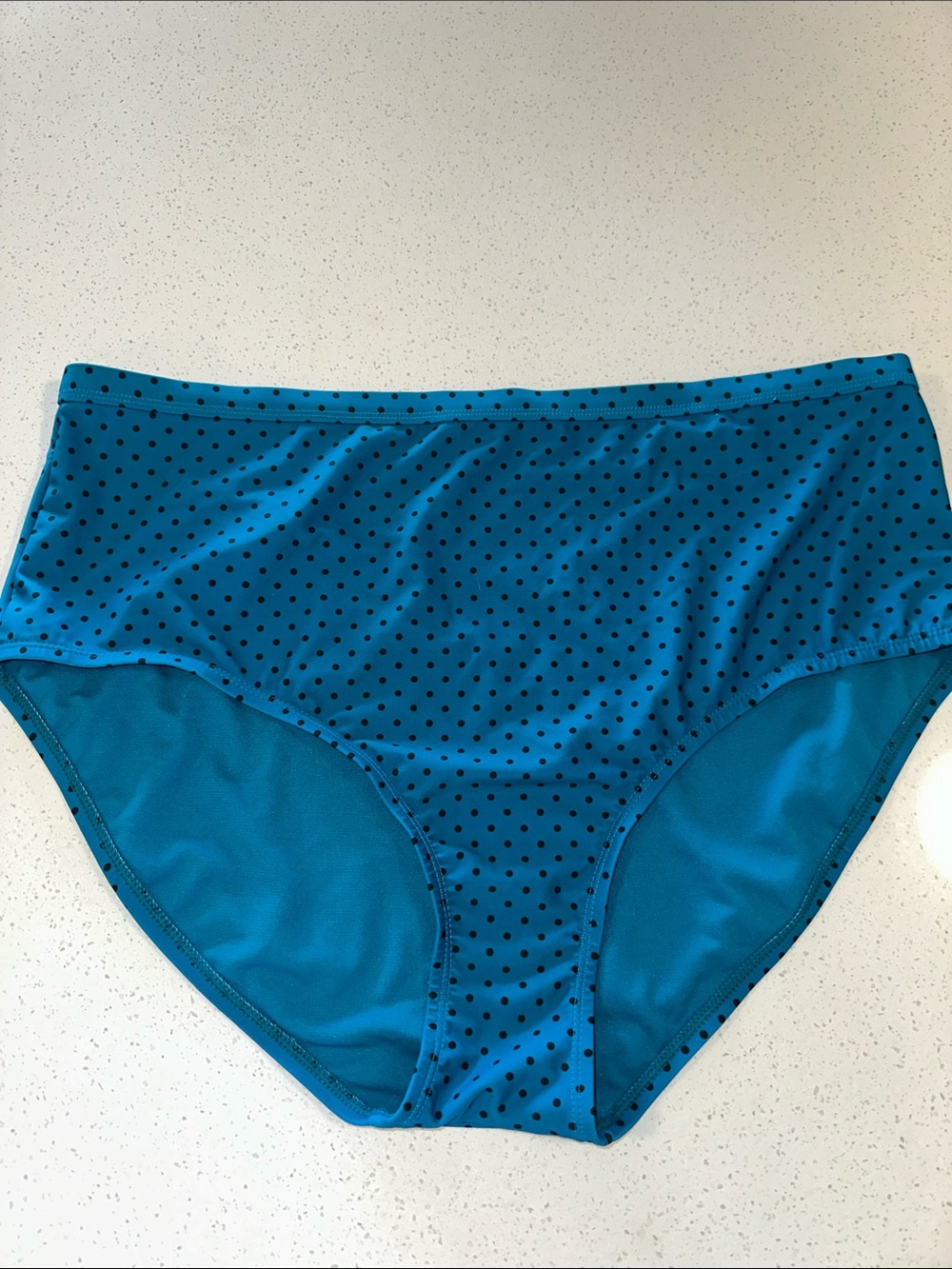 Terra & Sky Teal High-Waist Swim Bottom with Black Polka Dots, Size:2X (20W-22W)